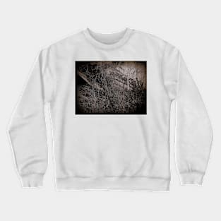 Looking Down Upon Ye Crewneck Sweatshirt